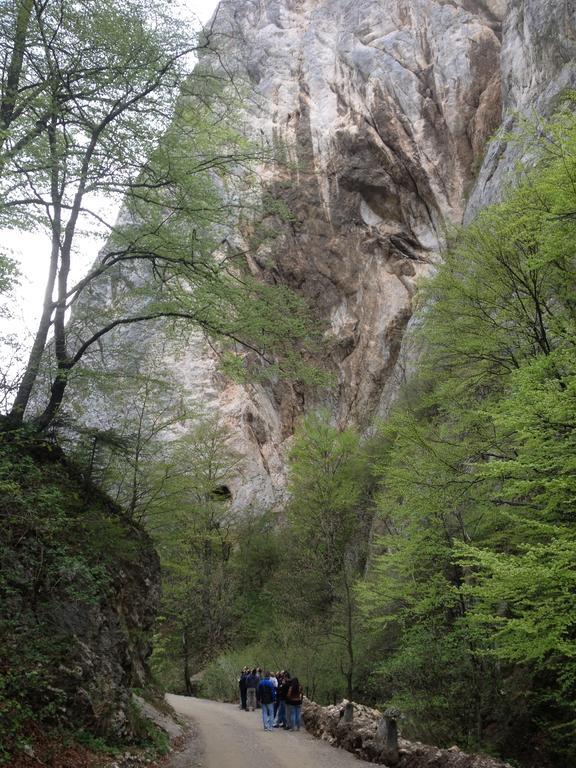 Rosenville Rîşnov Esterno foto