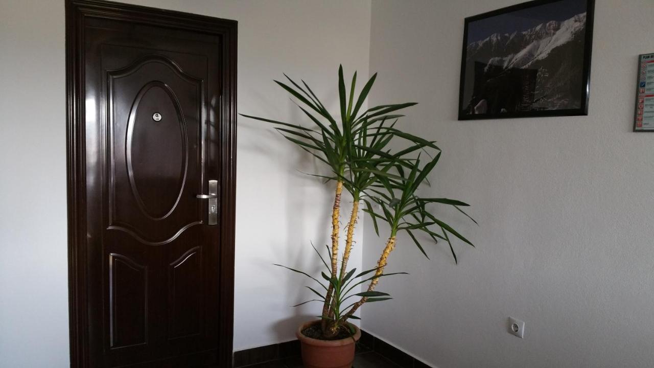 Rosenville Rîşnov Esterno foto